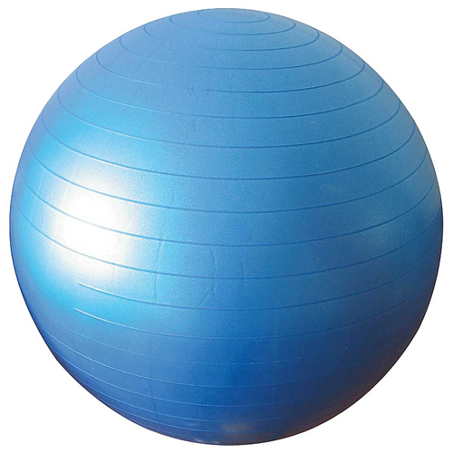 Physio Ball/ Gym Ball Plane